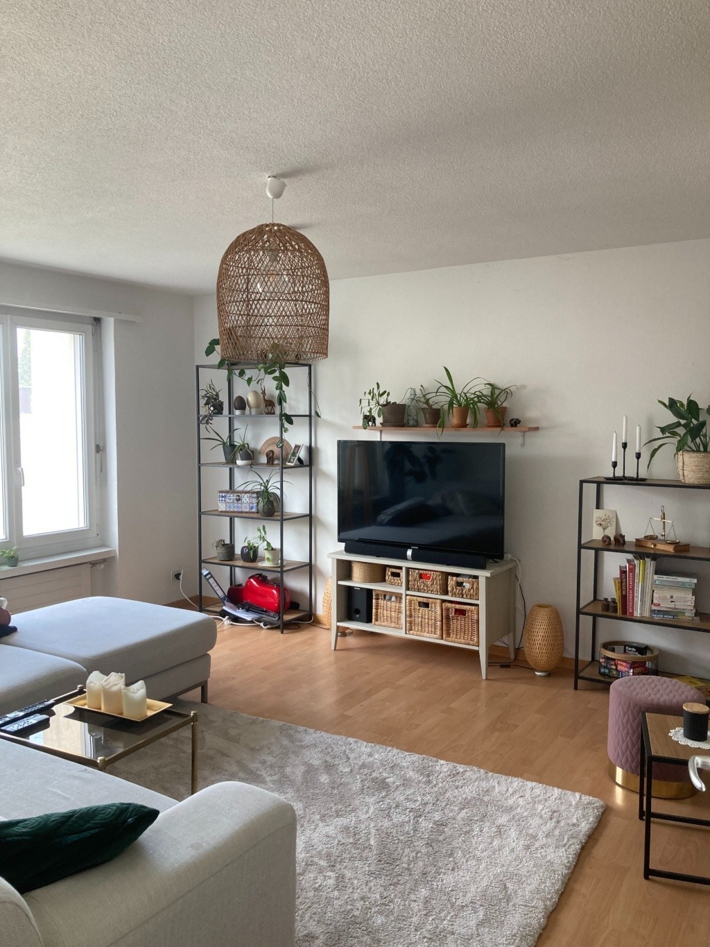 Room in a shared flat