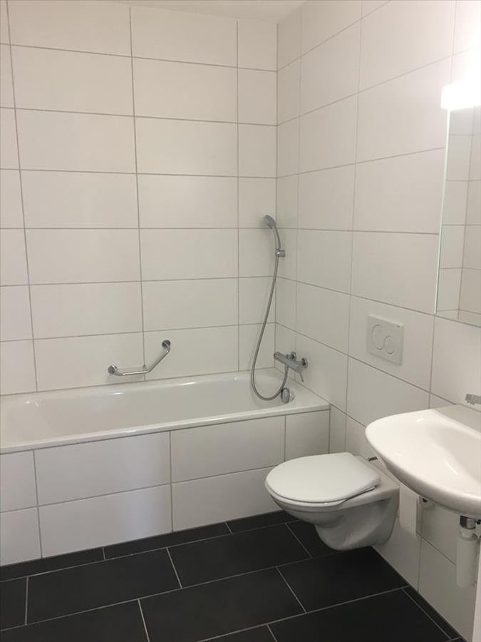 3 ½ pièces appartement