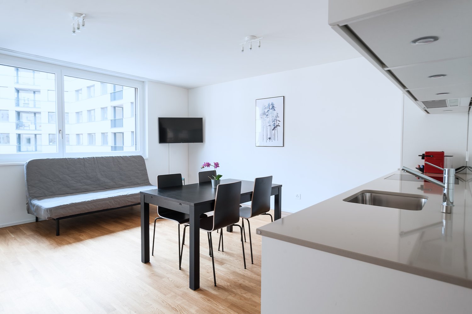 2 ½ rooms furnished flat