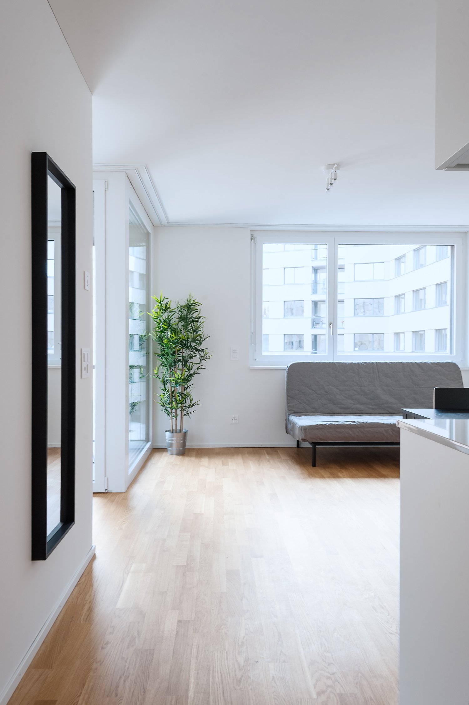 2 ½ rooms furnished flat
