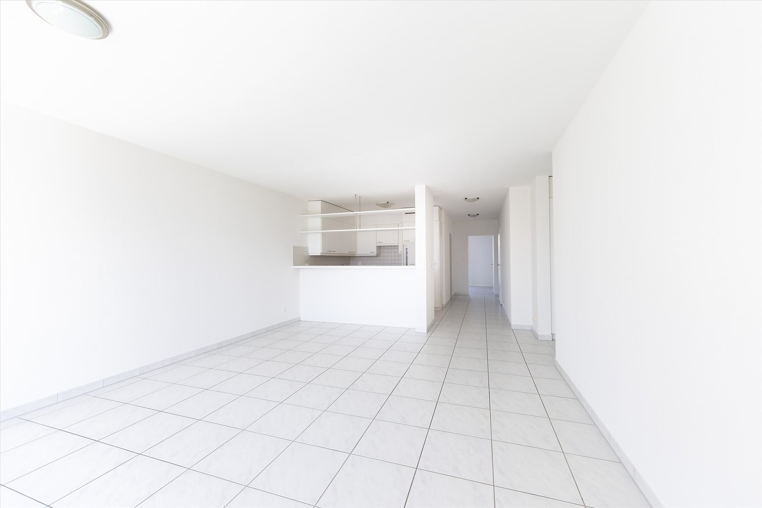 Appartement de 3 ½ pièces