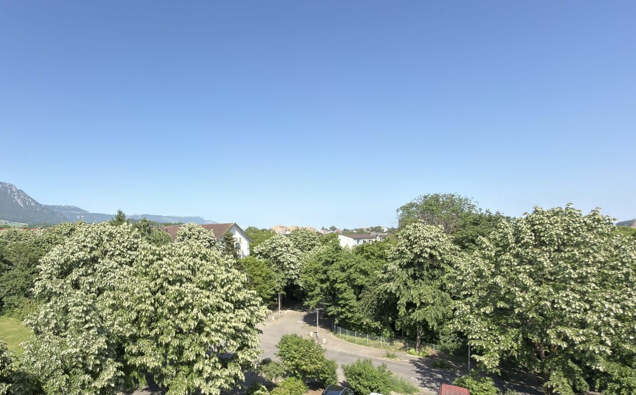 3 ½ Zimmer-Wohnung