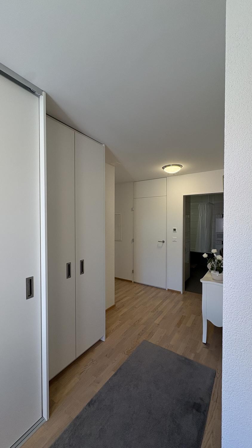 Appartement de 3 ½ pièces
