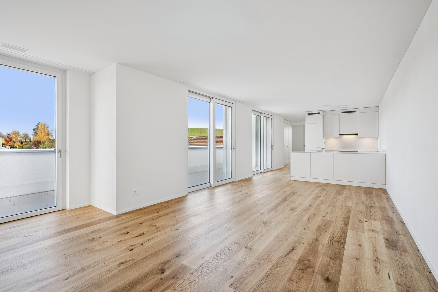appartamento attico di 2 ½ locali
