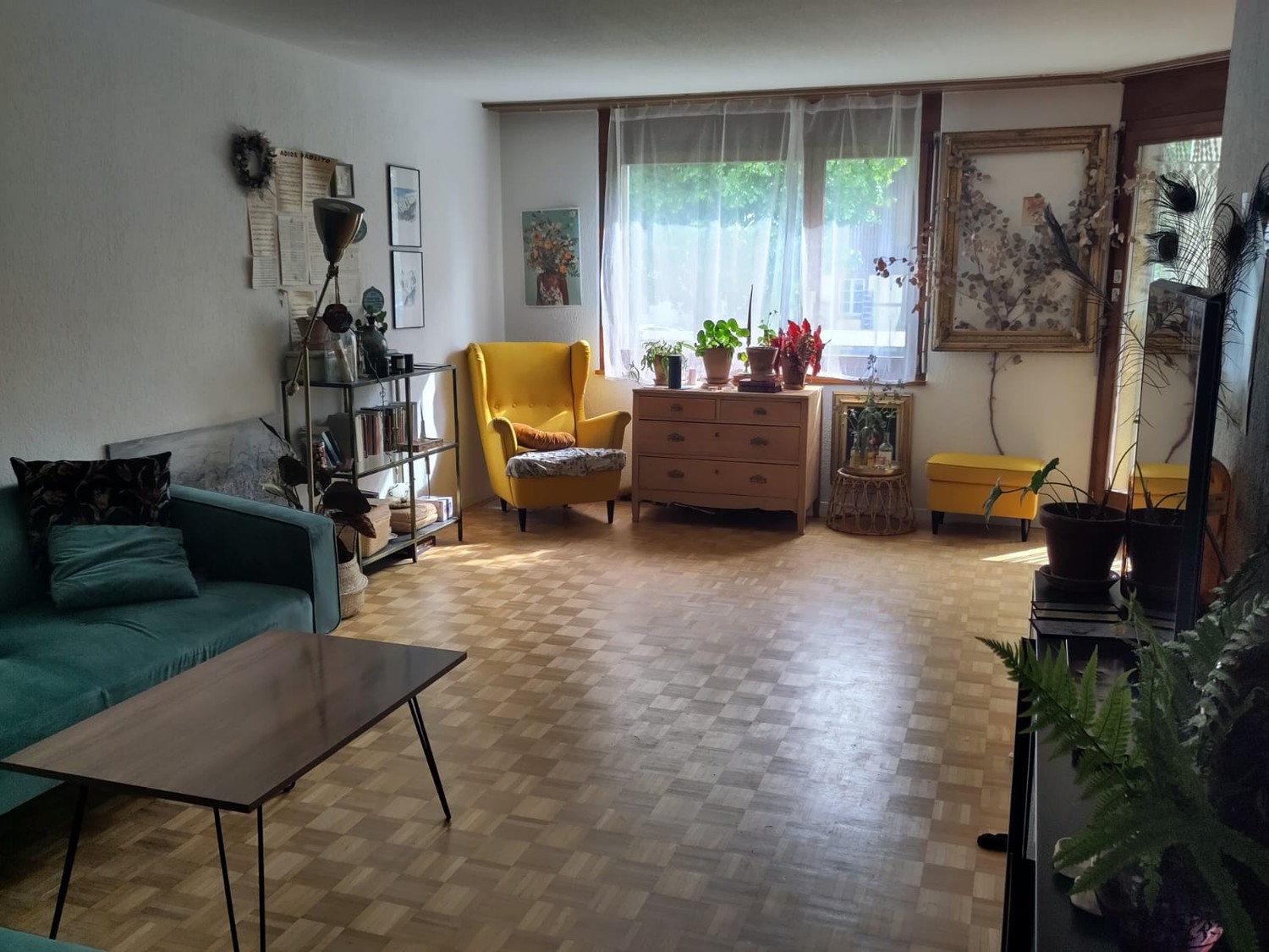 Room in a shared flat