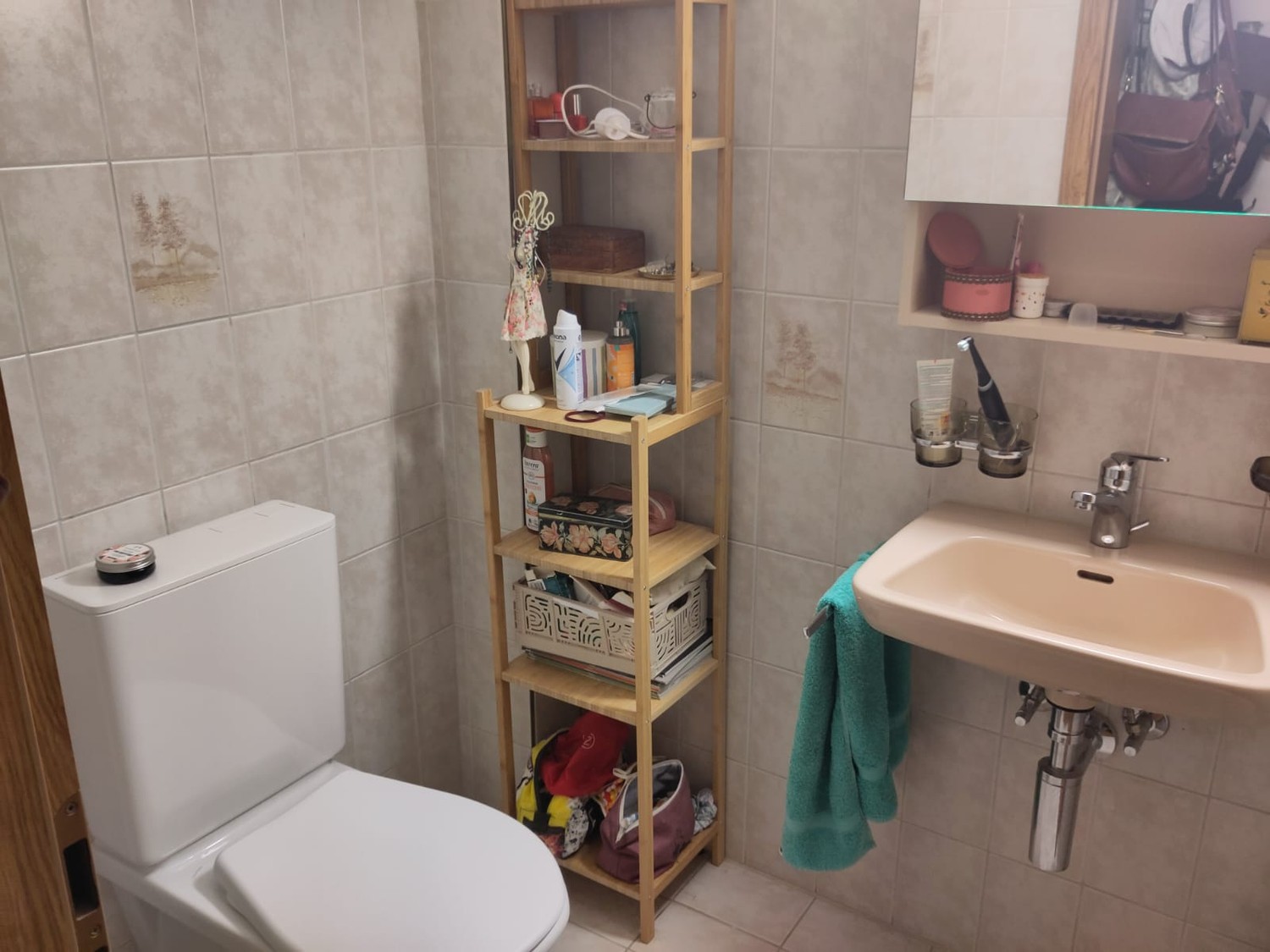 Room in a shared flat