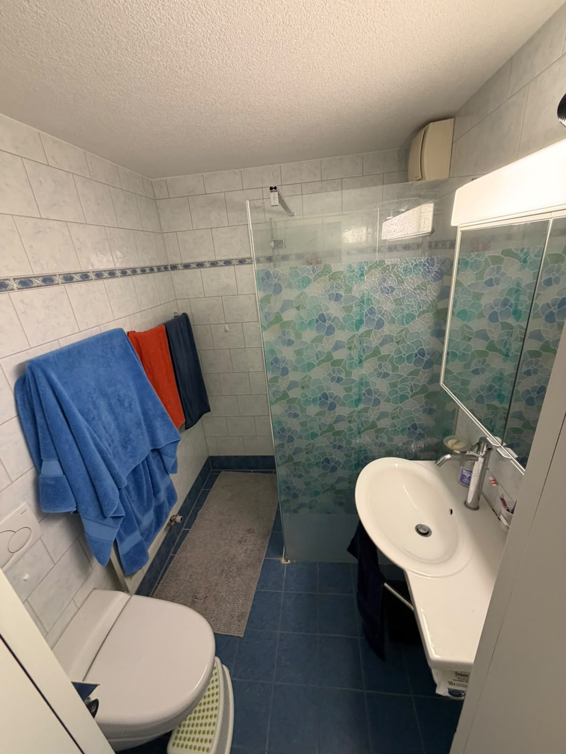 3 ½ Zimmer Wohnung
