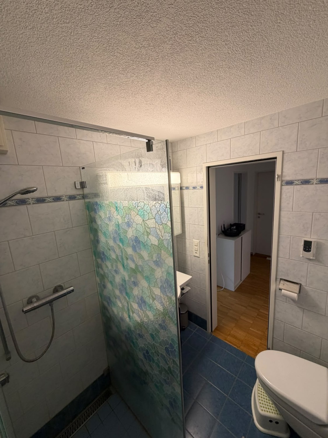 3 ½ Zimmer Wohnung