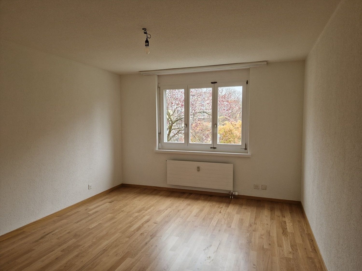 Appartement de 2 ½ pièces