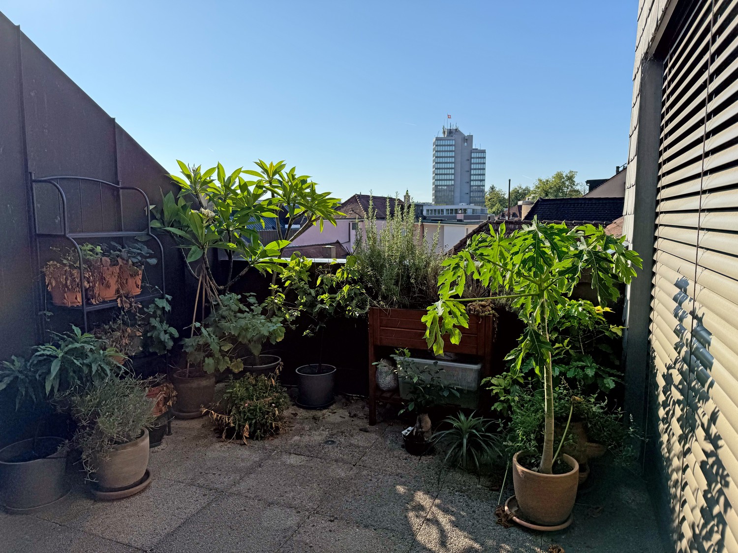 3 ½ rooms apartment