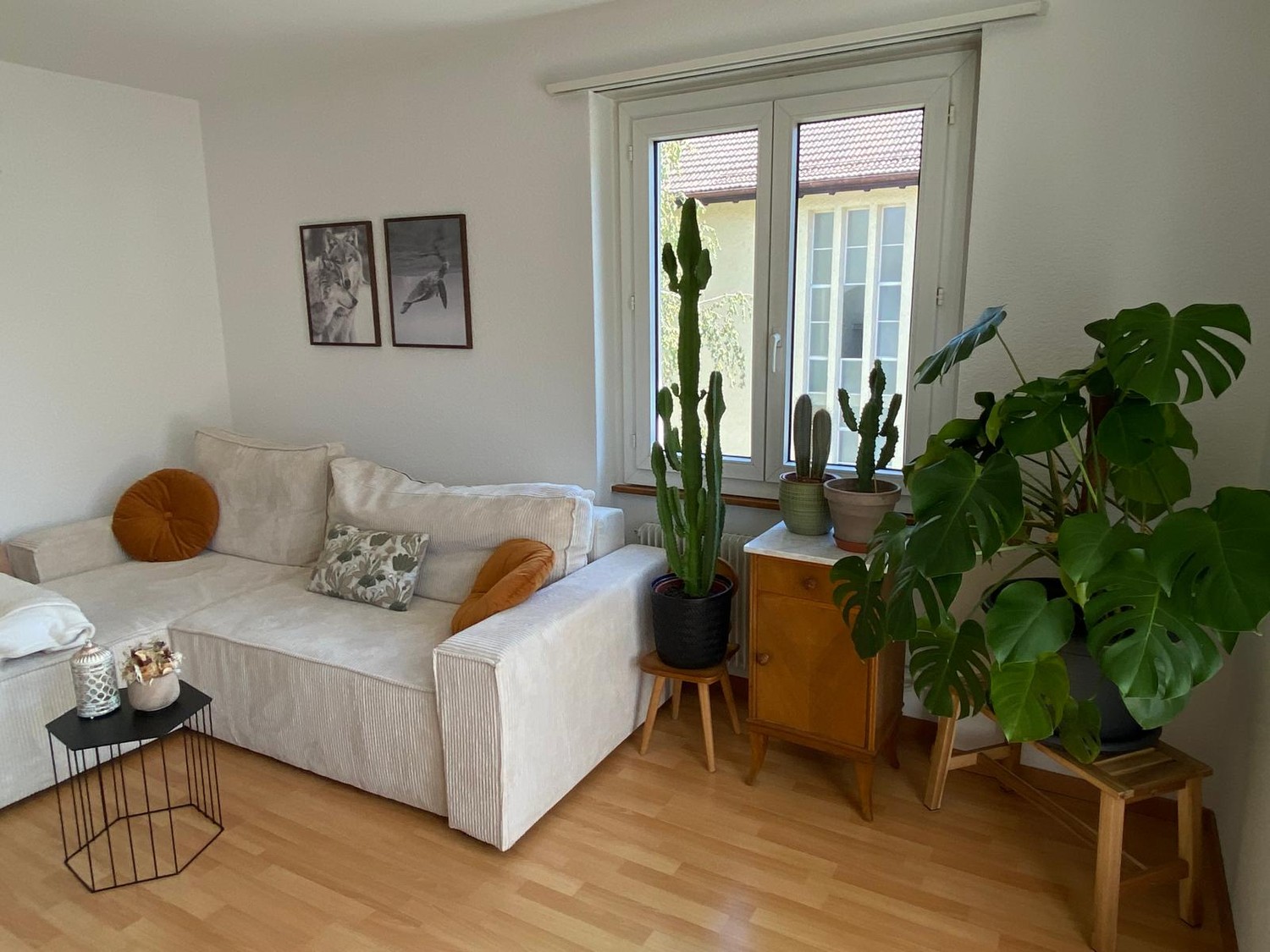 Room in a shared flat