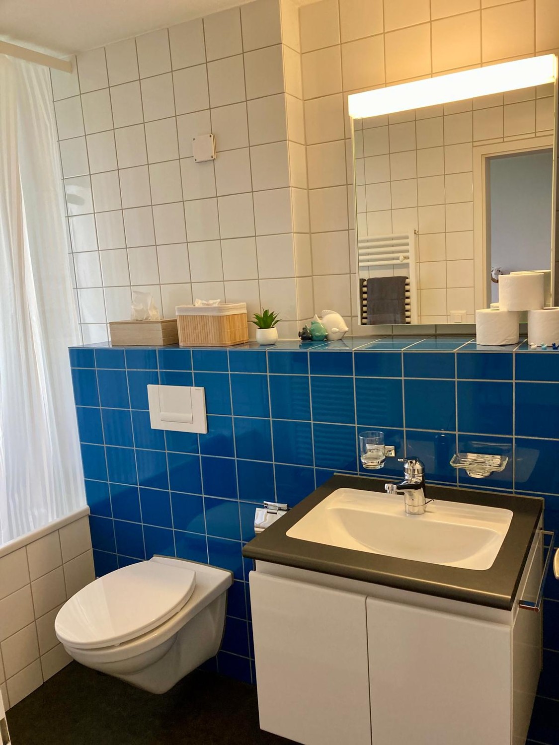 Appartement de 2 ½ pièces