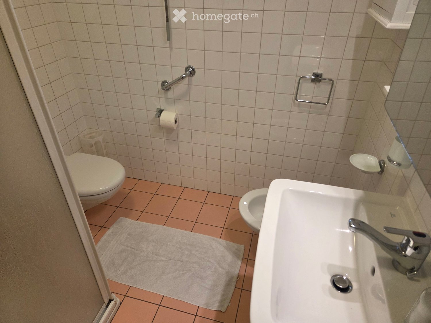 2 ½ Zimmer Wohnung
