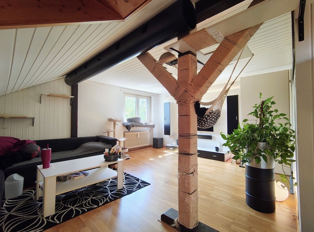 1 room single room