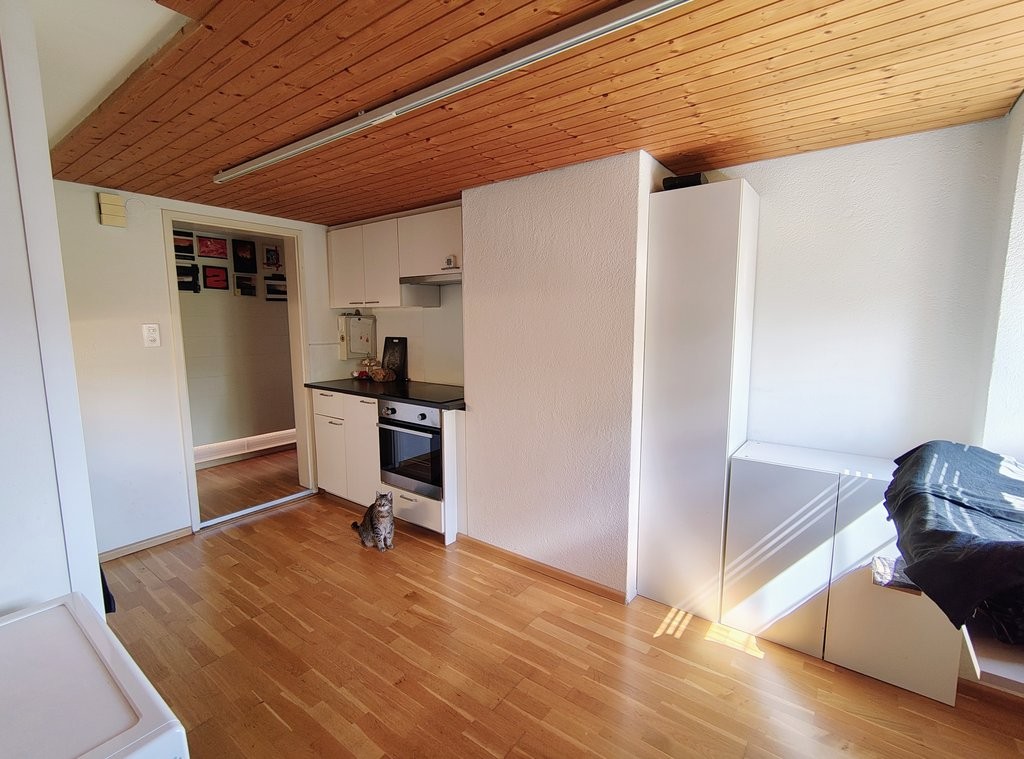 1 room single room