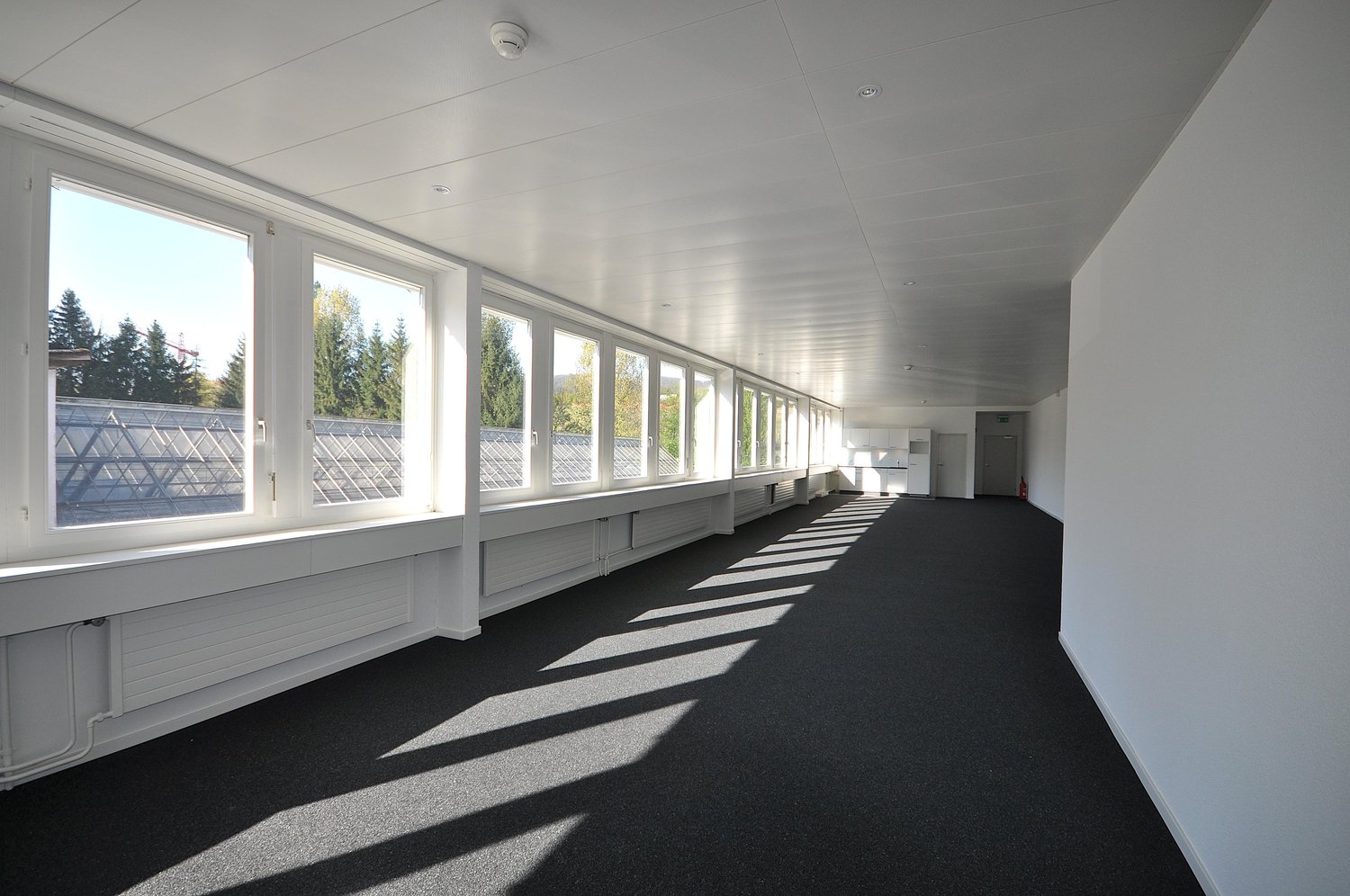 135m² office