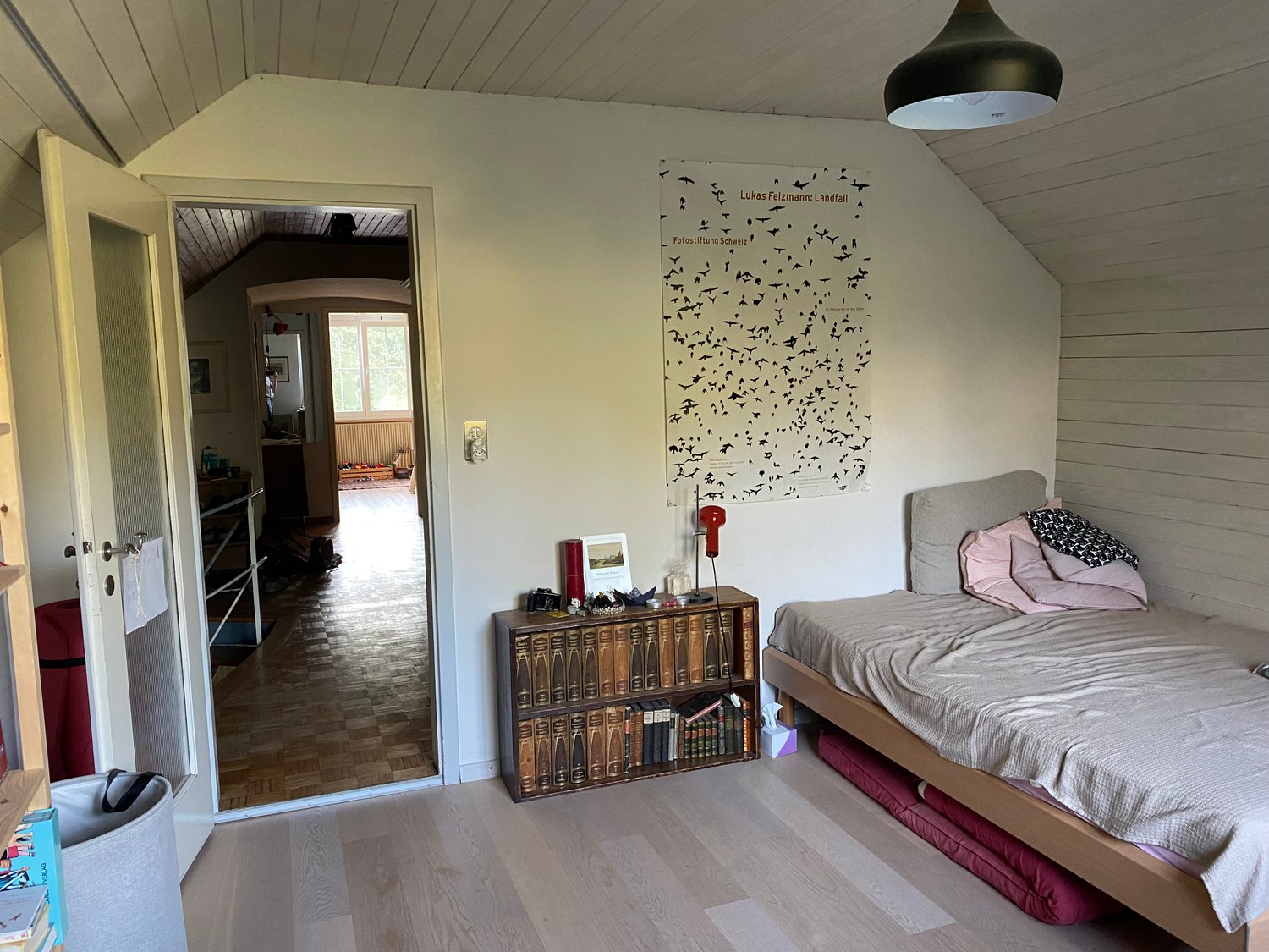 Room in a shared flat