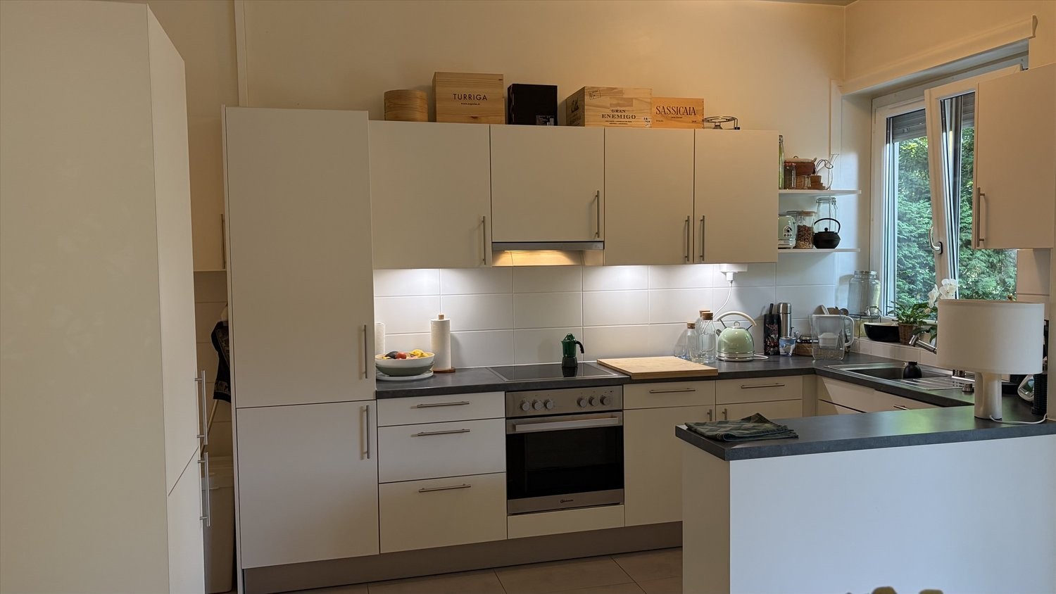 4 ½ rooms apartment