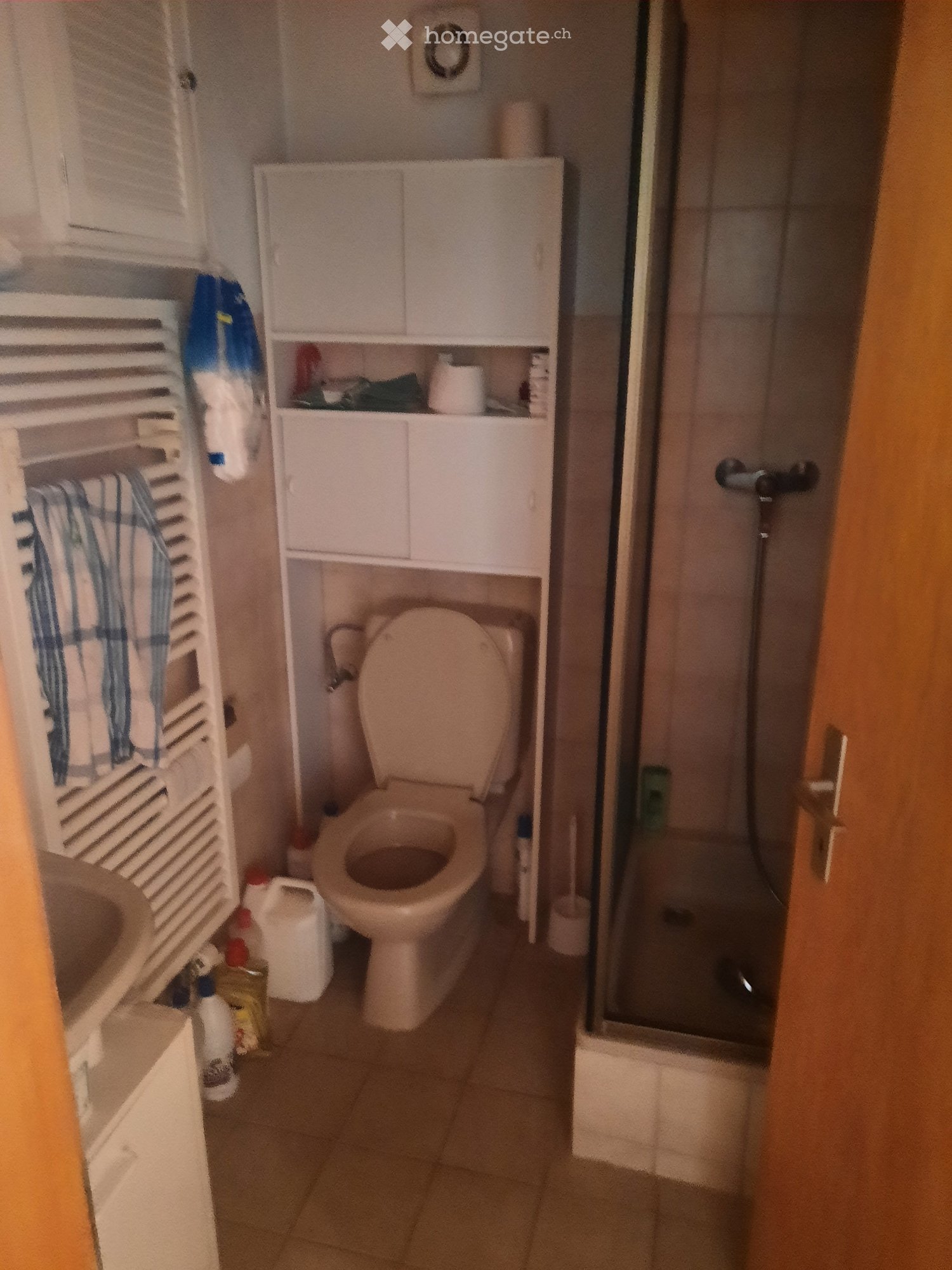 2 ½ Zimmer-Wohnung