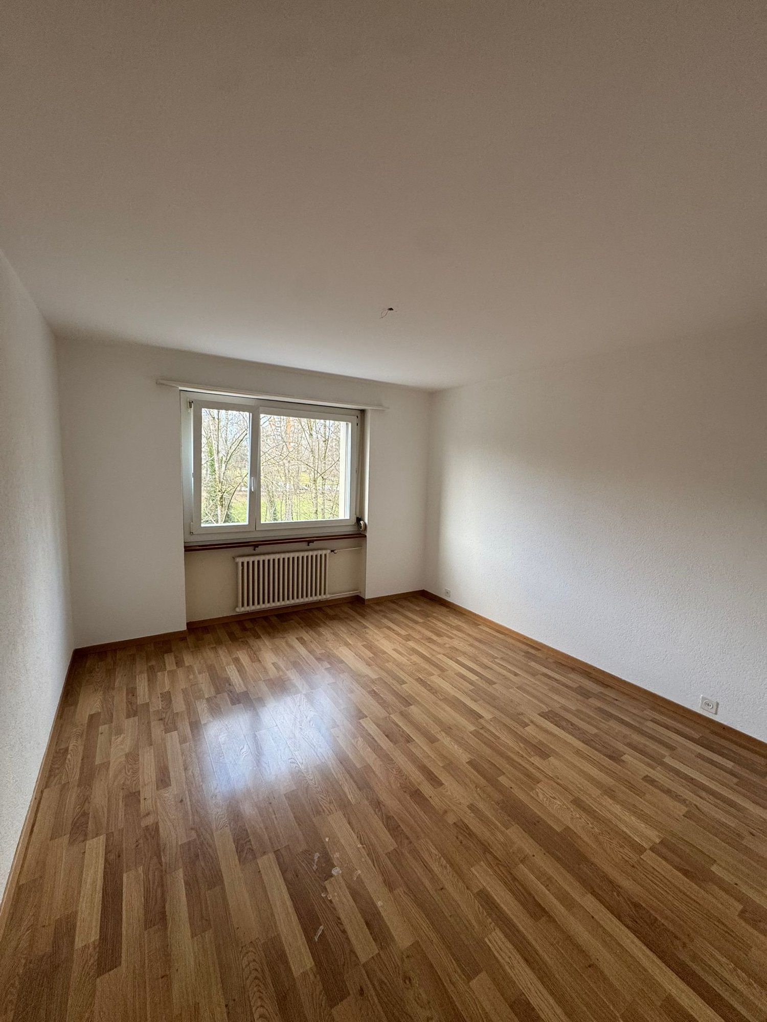 3 ½ Zimmer Wohnung