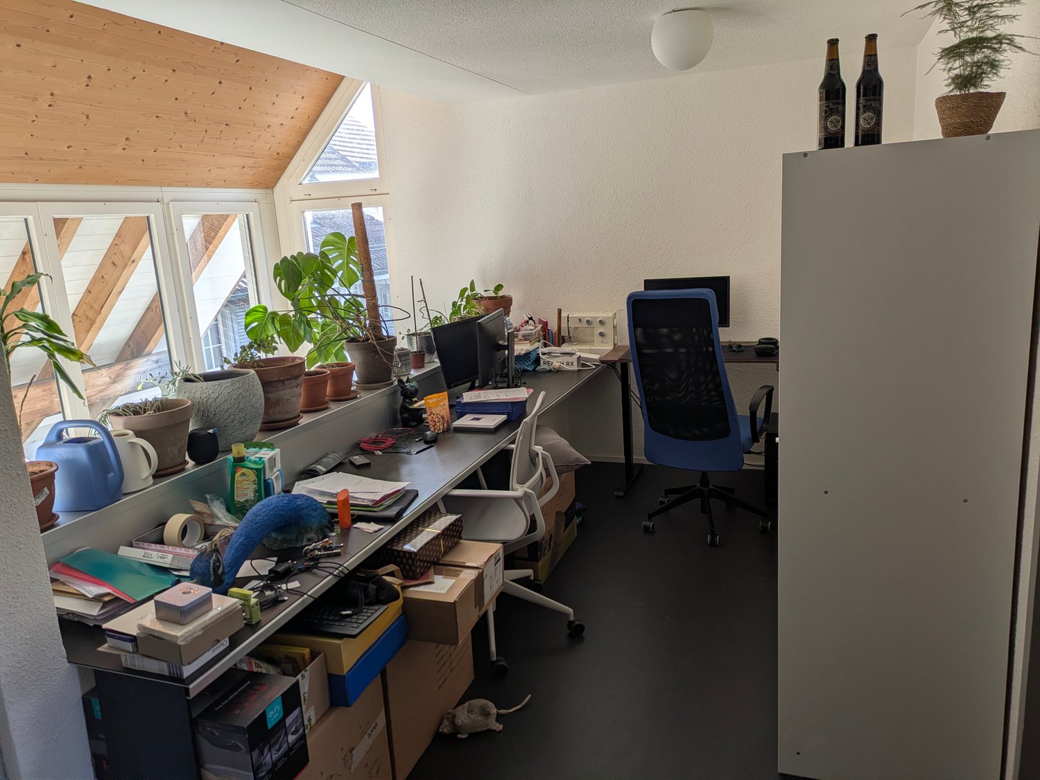 Chambre en colocation