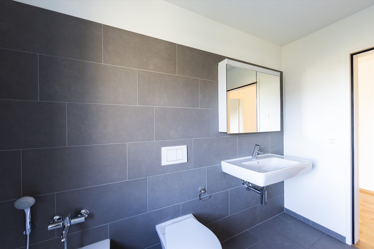 Appartement de 3 ½ pièces