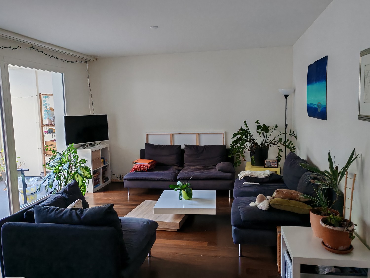 Room in a shared flat
