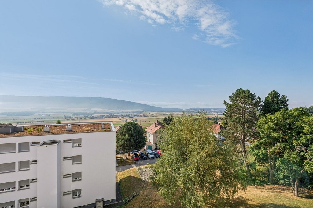 3-Zimmer-Wohnung