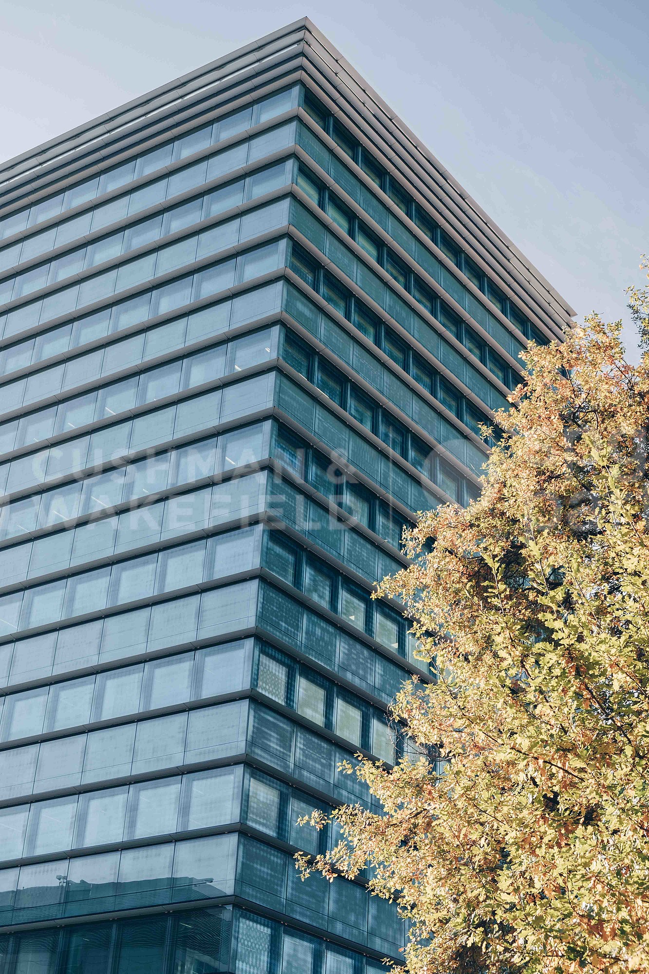 540m² office