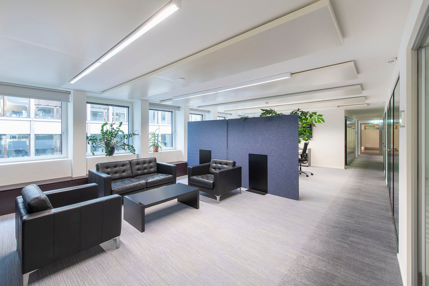 710m² ufficio