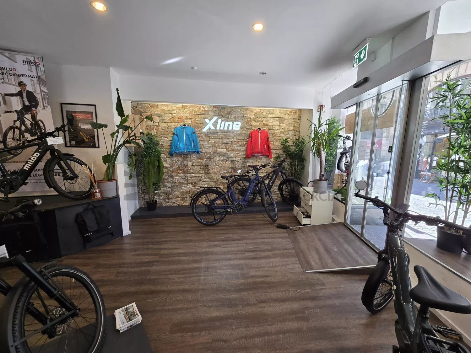 Shop