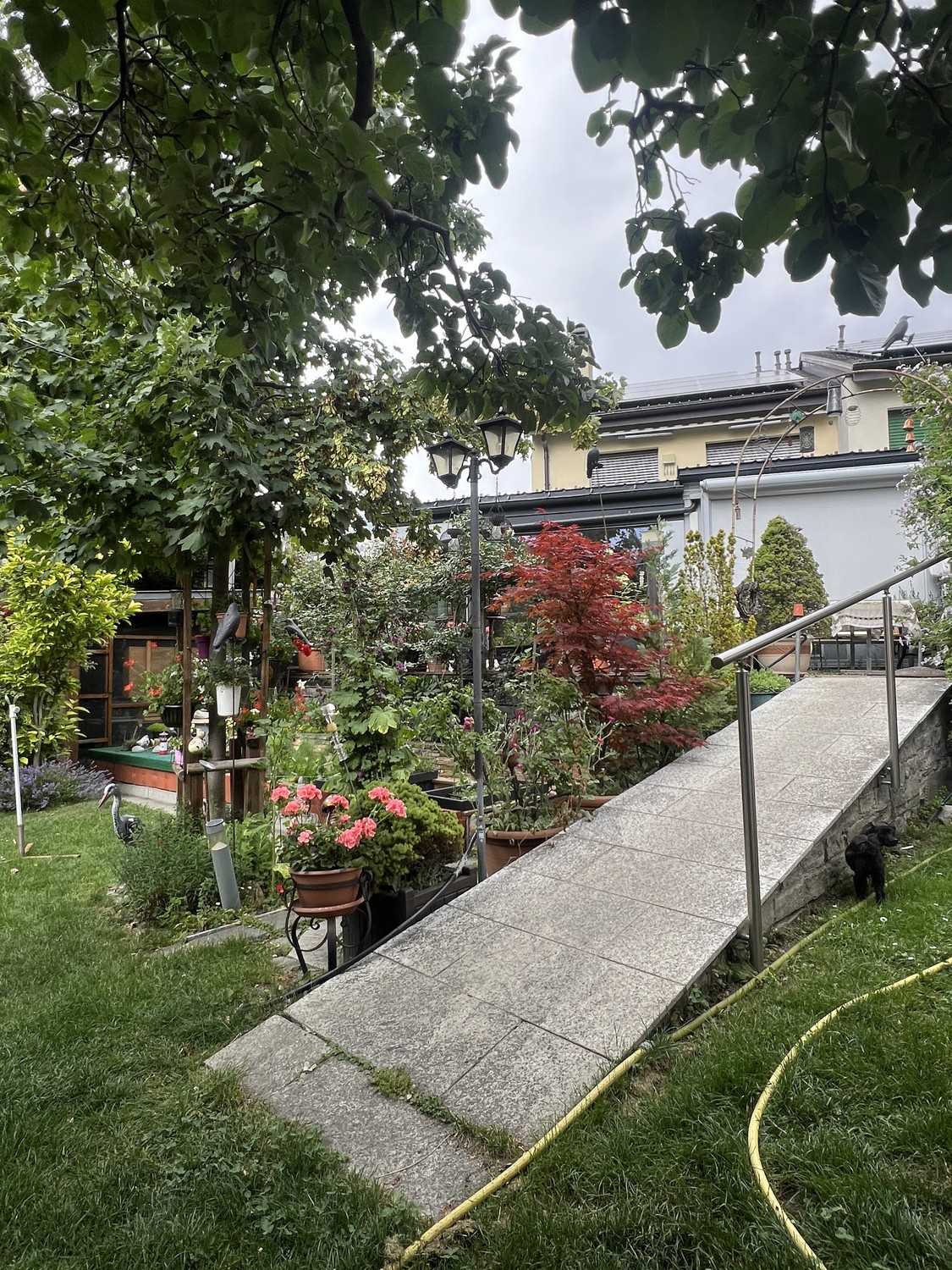 appartamento di 3 locali