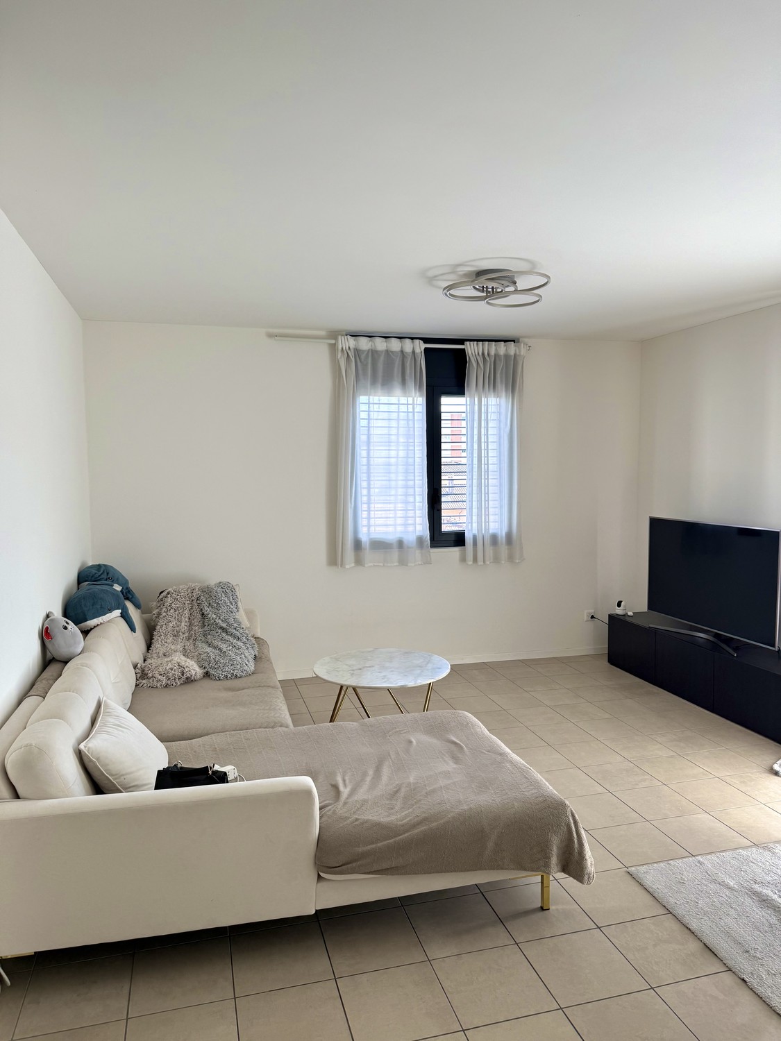 3 ½ Zimmer-Wohnung