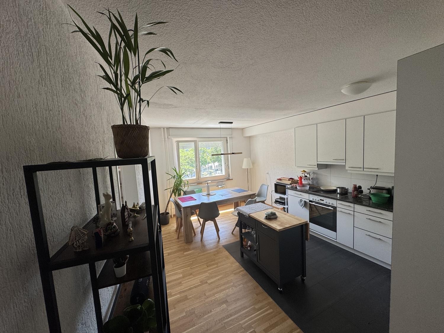 Appartement de 3 ½ pièces
