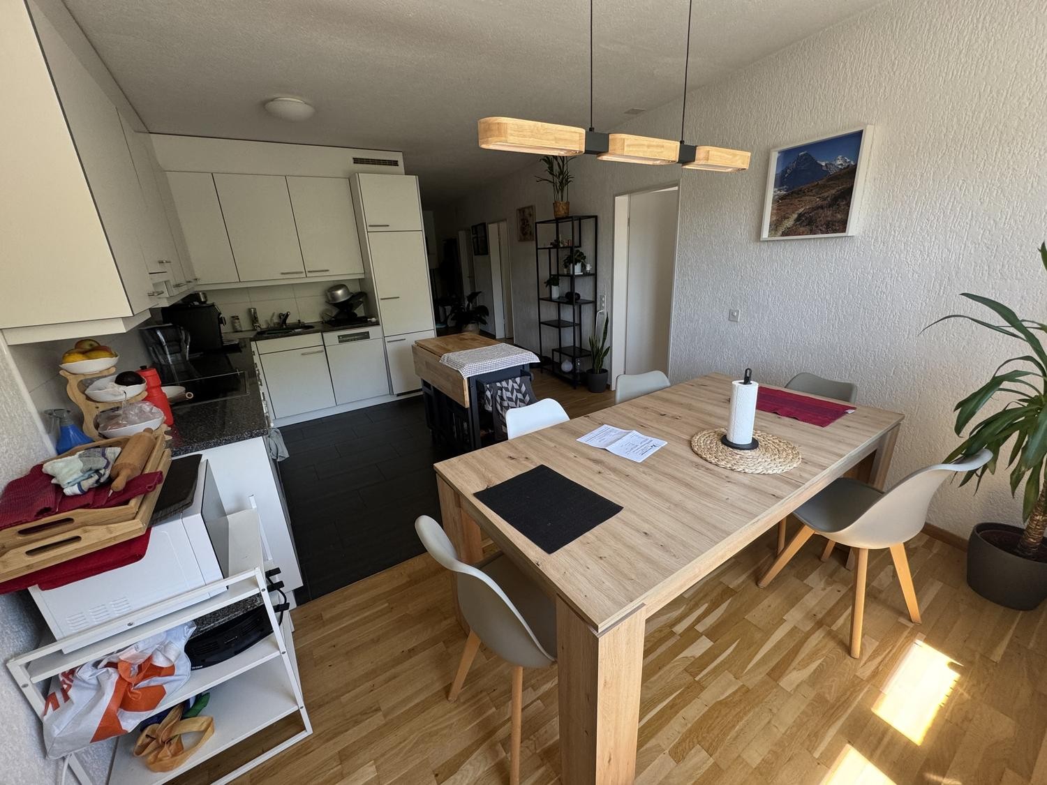 Appartement de 3 ½ pièces