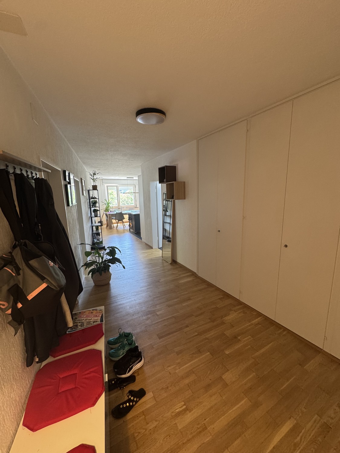 Appartement de 3 ½ pièces