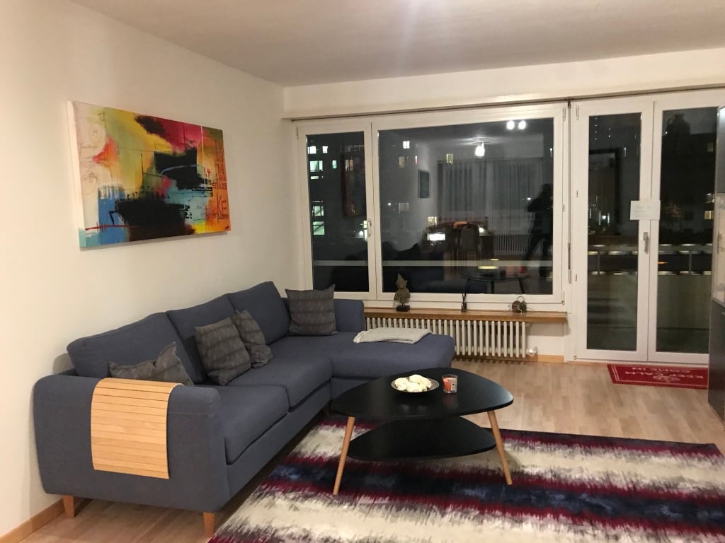 3 ½ Zimmer Wohnung