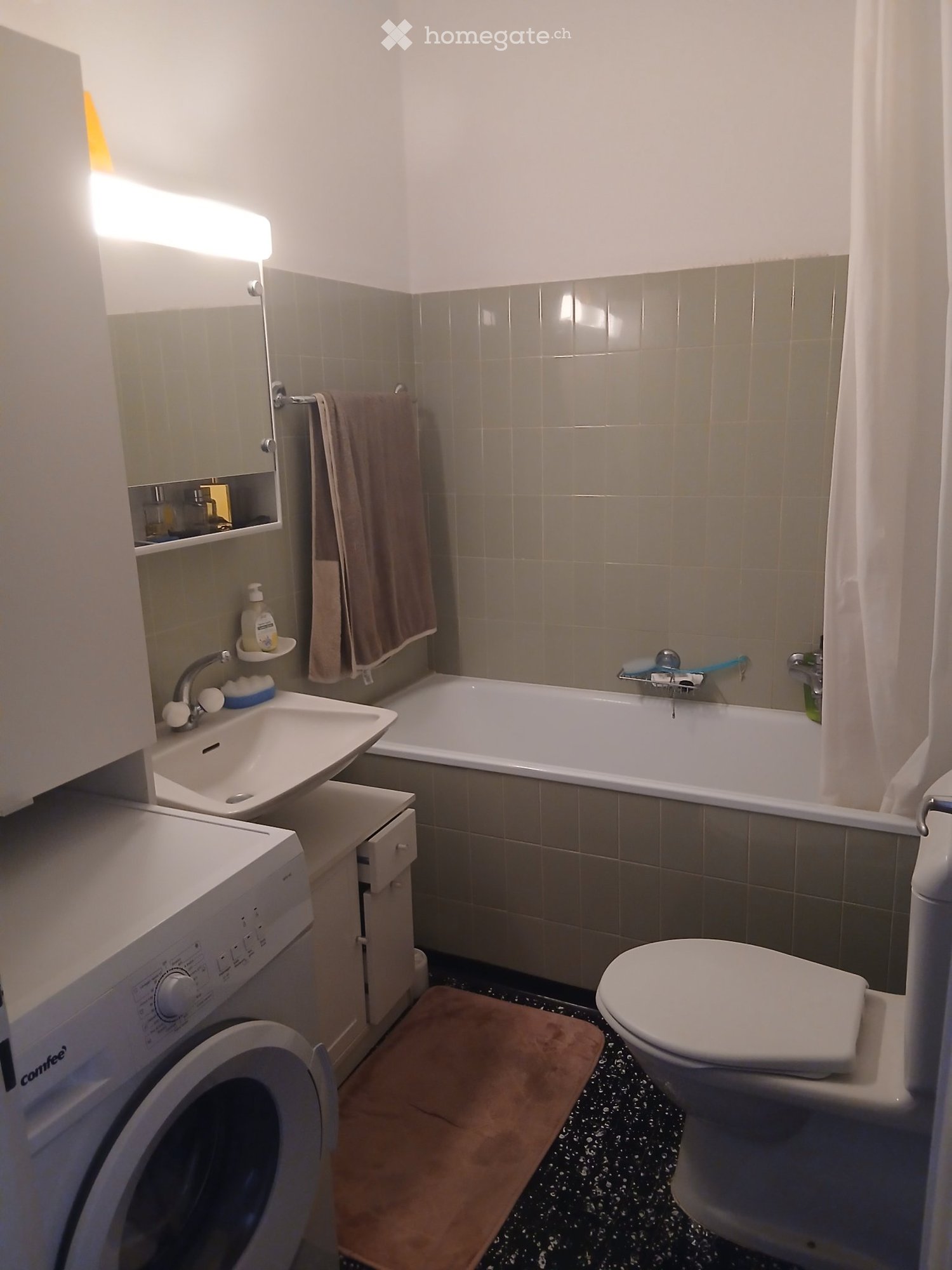 2 ½ Zimmer Wohnung