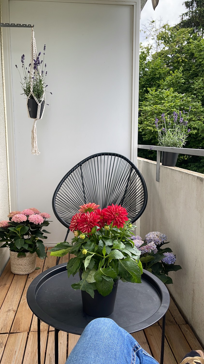 1 ½ rooms apartment