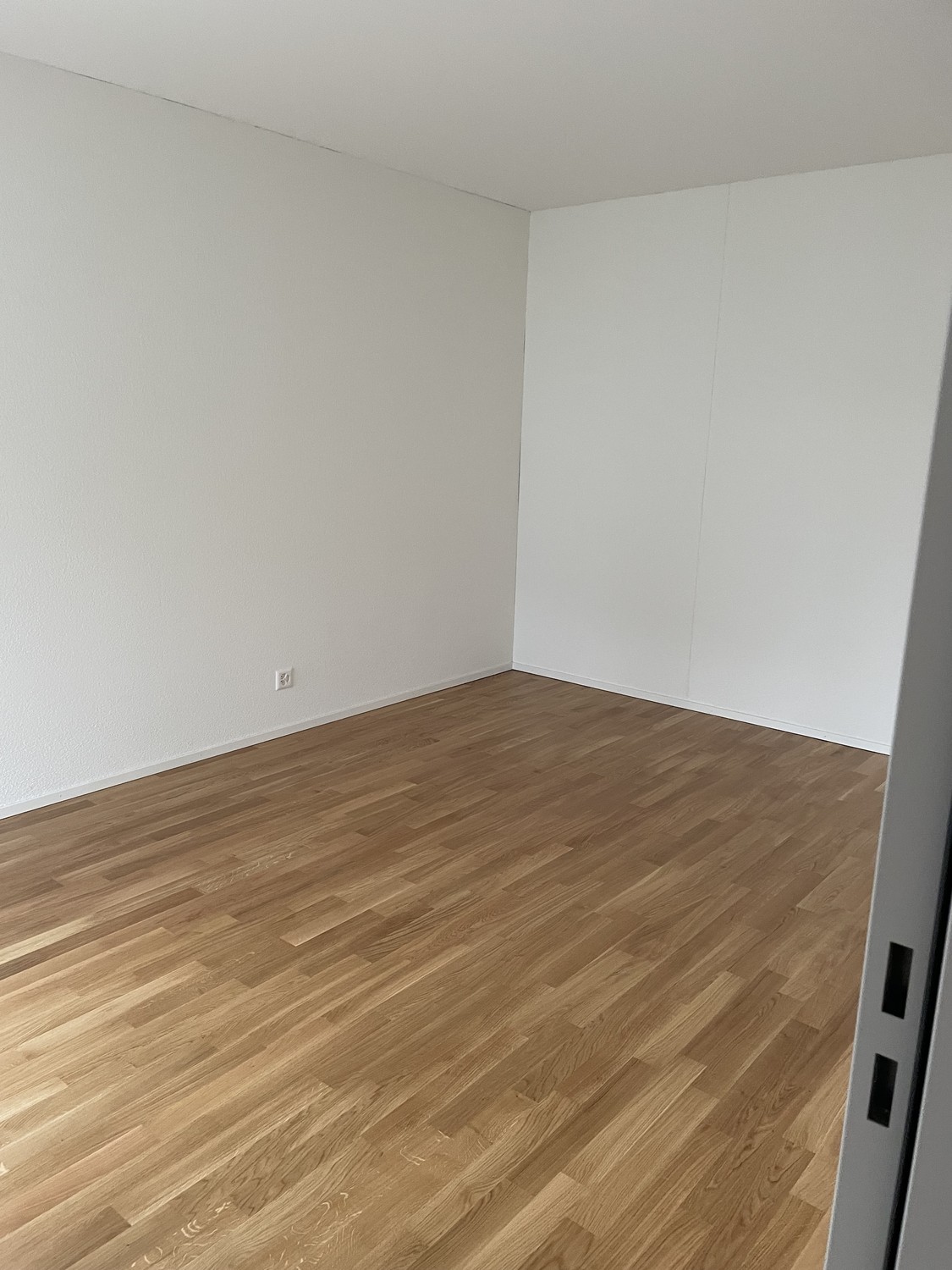2 ½ Zimmer-Wohnung