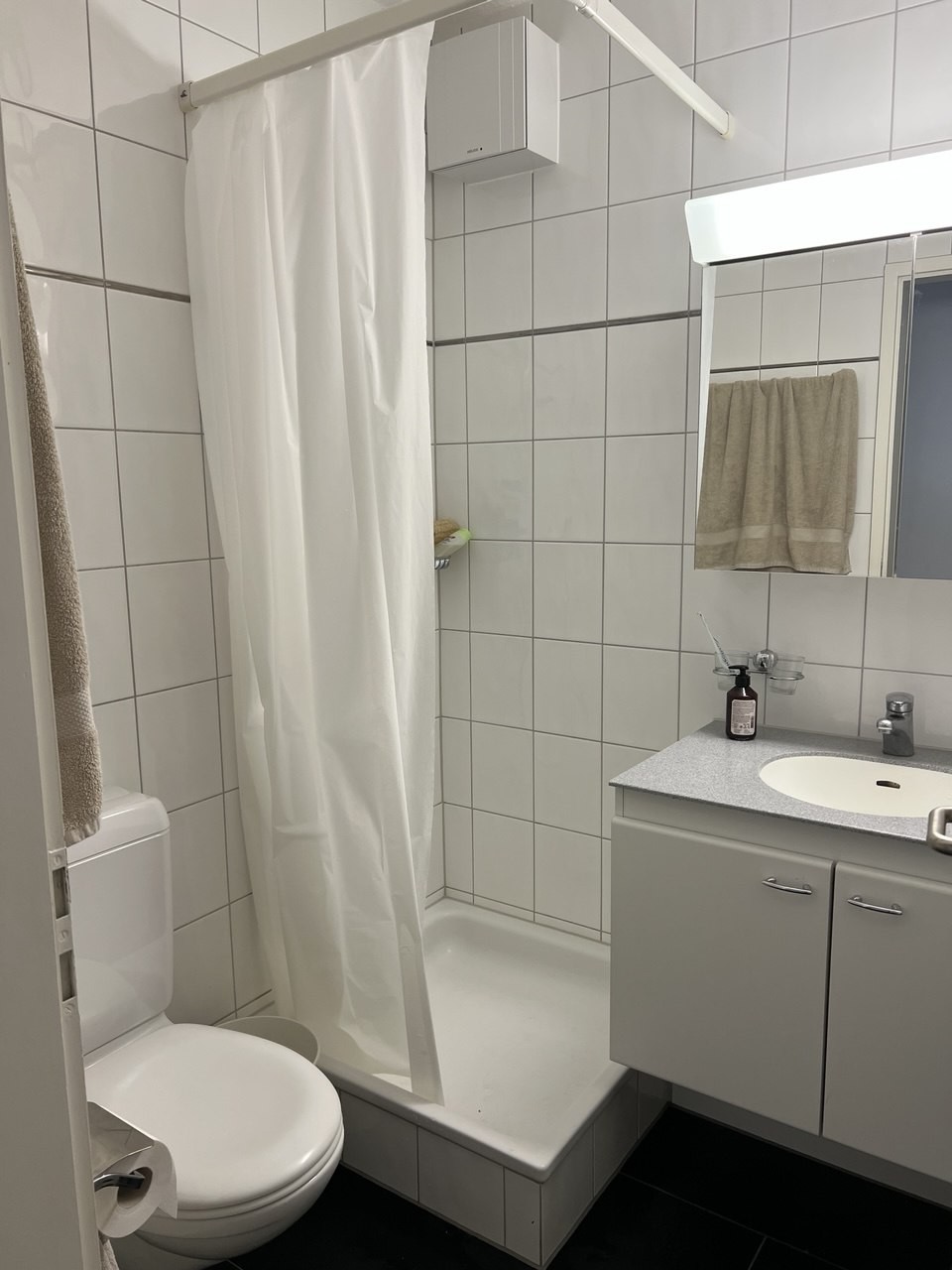 4 ½ Zimmer Wohnung