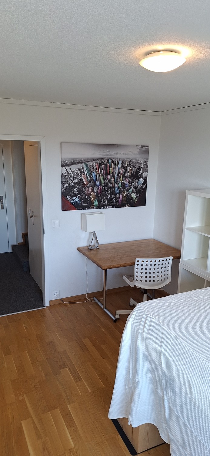 Room in a shared flat