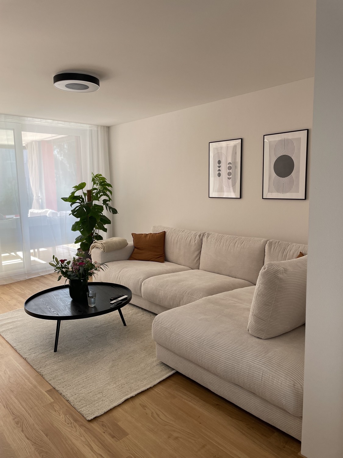 Appartement de 3 ½ pièces