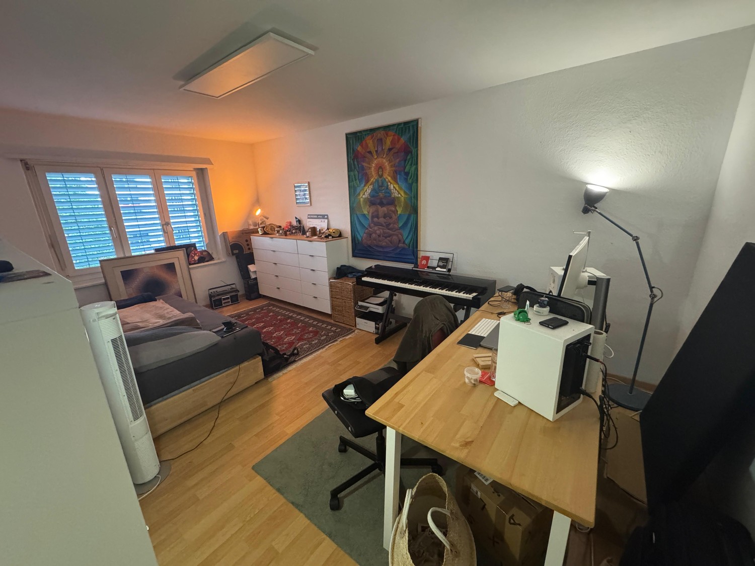 Room in a shared flat