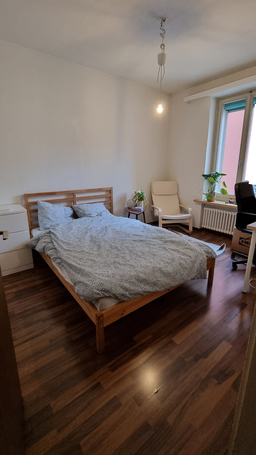 Room in a shared flat