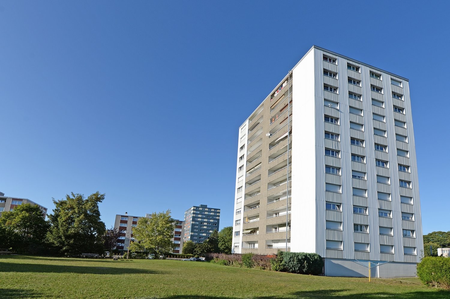 2 ½ Zimmer-Wohnung