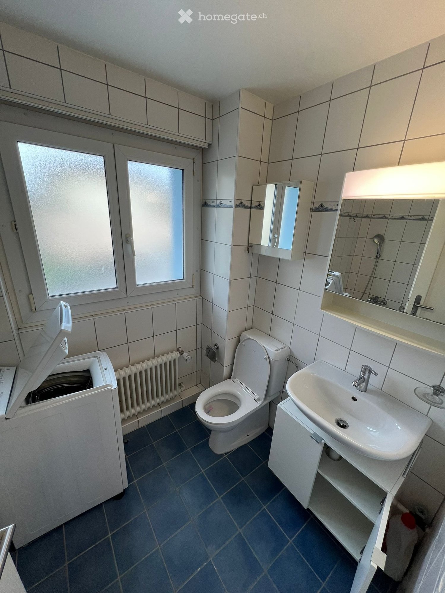 3 ½ Zimmer-Wohnung
