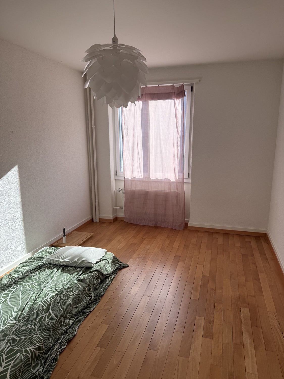 Chambre dans une colocation