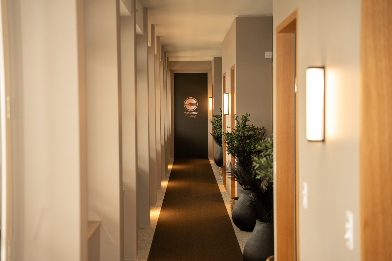 appartement 2 pièces