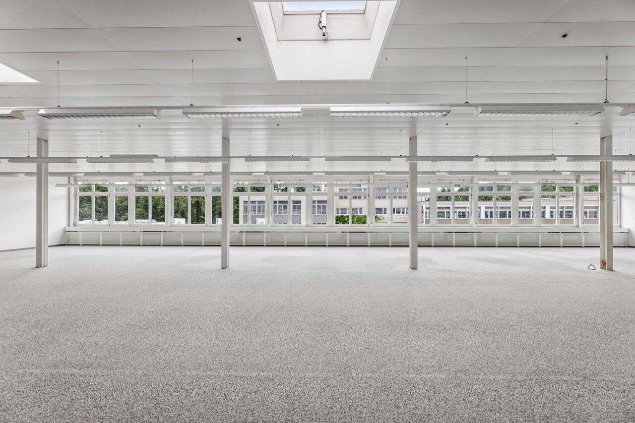 331m² commercial